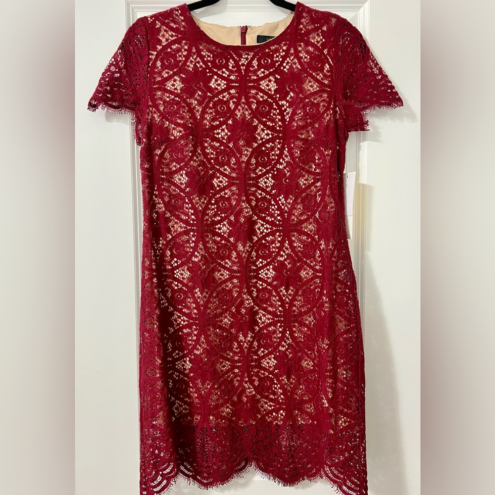 NWT Cynthia Steffe Lace Overlay Dress (0)